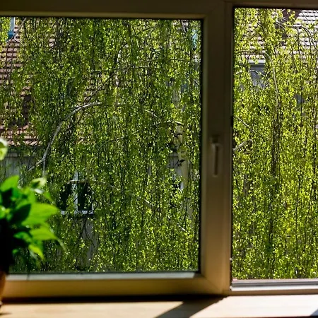 Appartement Leveloft - Przestronny, Stylowy Apartament Na Zielonej Ulicy W Centrum *