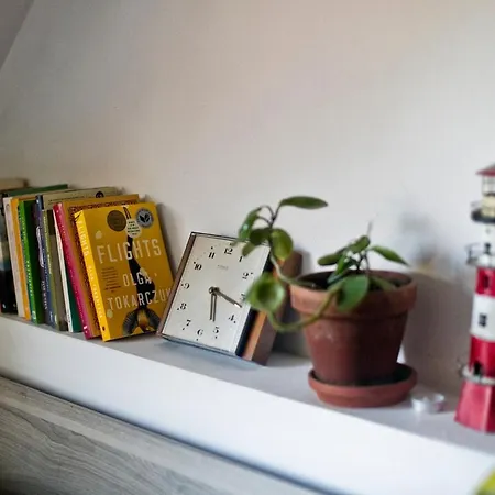 Leveloft - Przestronny, Stylowy Apartament Na Zielonej Ulicy W Centrum Wrocław